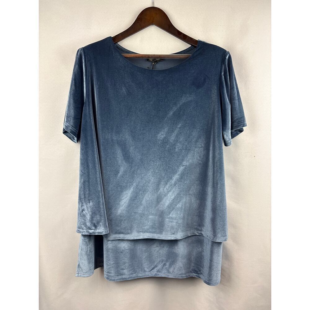 Women’s DG2 1X Silver Blue Velvet Short Sleeve Blouse